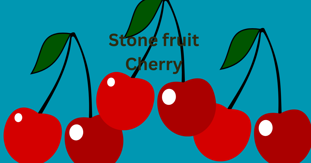 Stone Fruit