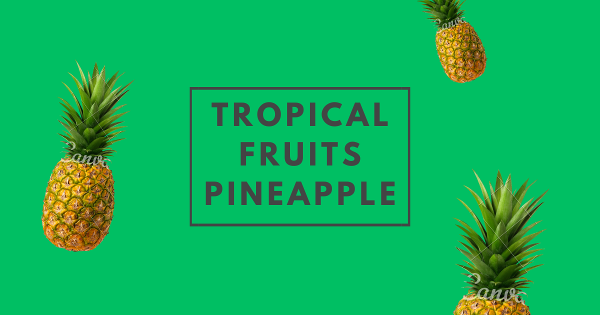 Tropical Fruit Pineapple