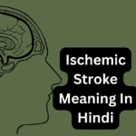 Ischemic Stroke Meaning In Hindi