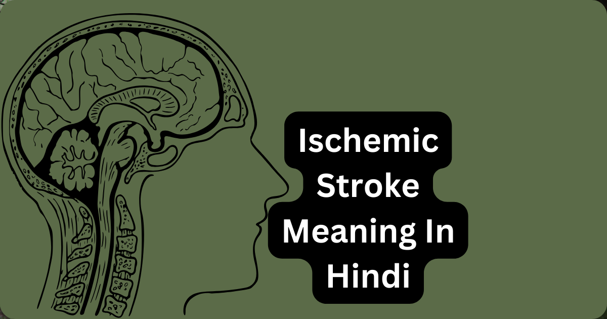 Ischemic Stroke Meaning In Hindi